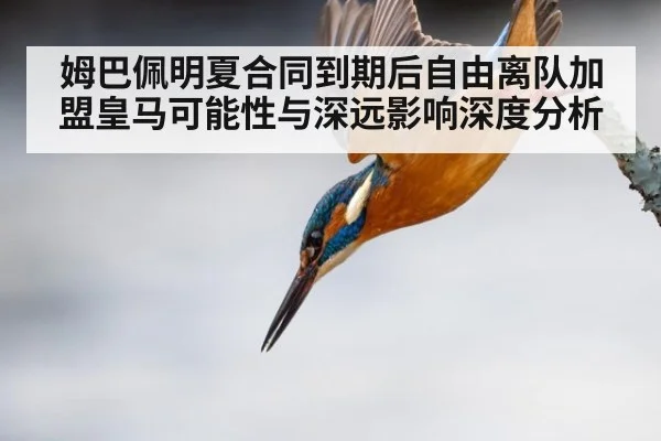 姆巴佩明夏合同到期后自由离队加盟皇马可能性与深远影响深度分析